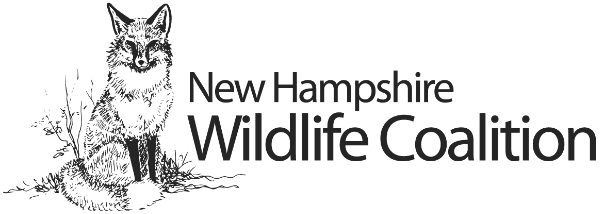 New Hampshire Wildlife Coalition