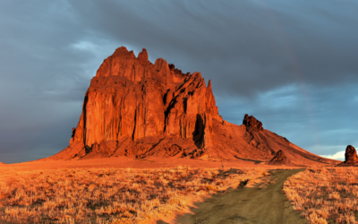 Press Release: Game of Groans – Fossil fuel lobbyist appointed to New Mexico Game Commission