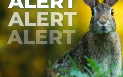 April 2022 Newsletter