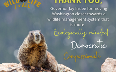 February 2022 Newsletter