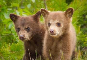 March 2022 Newsletter