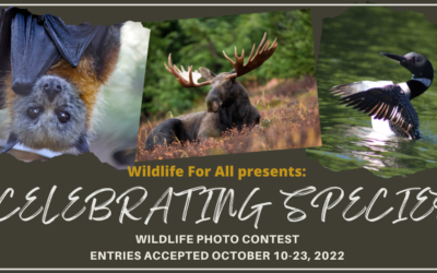 September 2022 Newsletter