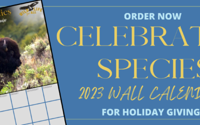Order Now: Wildlife For All “Celebrating Species” 2023 Calendars for sale!
