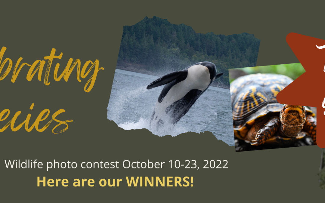 Wildlife For All “Celebrating Species” Photo Contest Winners