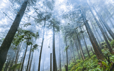 Hunting group to sue Gov. Inslee alleging biased commission appointments