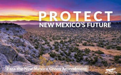 Pass the New Mexico Green Amendment