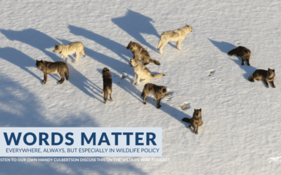 Why Words Matter in Wildlife Management