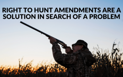 Right to Hunt Amendments: a Solution in Search of a Problem
