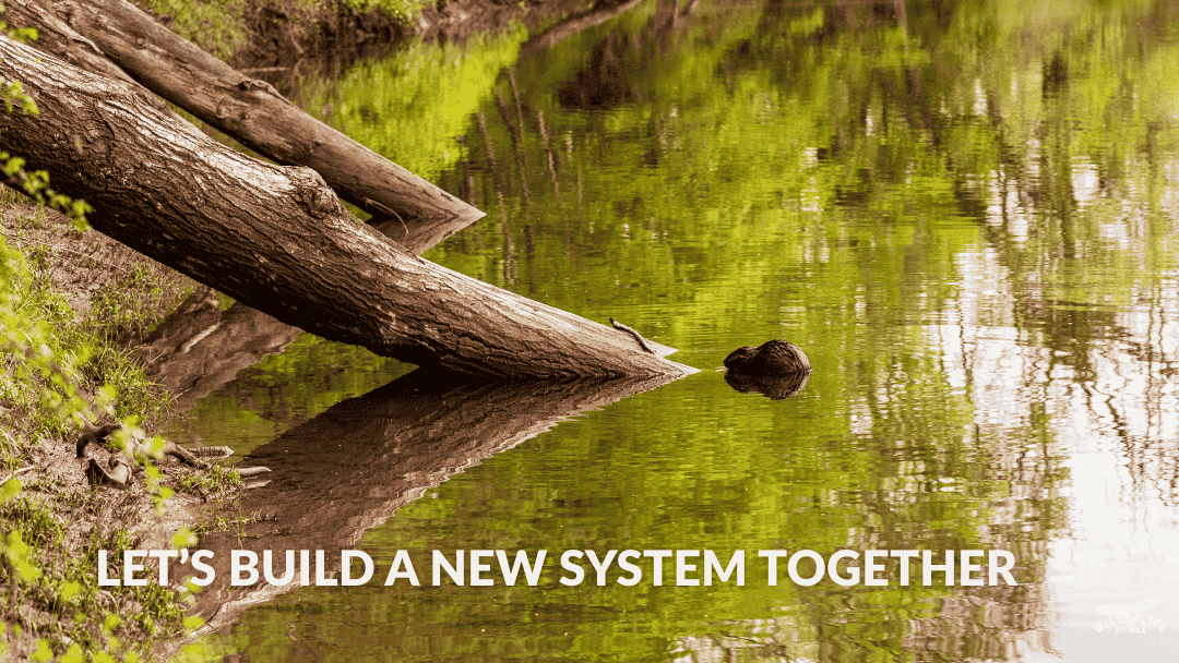 25.08.25 Action Hub-3 A thriving green wetland created by beavers, showing ecosystem resilience. Text on the image reads, “Let’s build a new system together.”