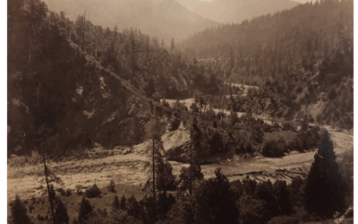 Watch: Chinook Salmon Returning to the Klamath River