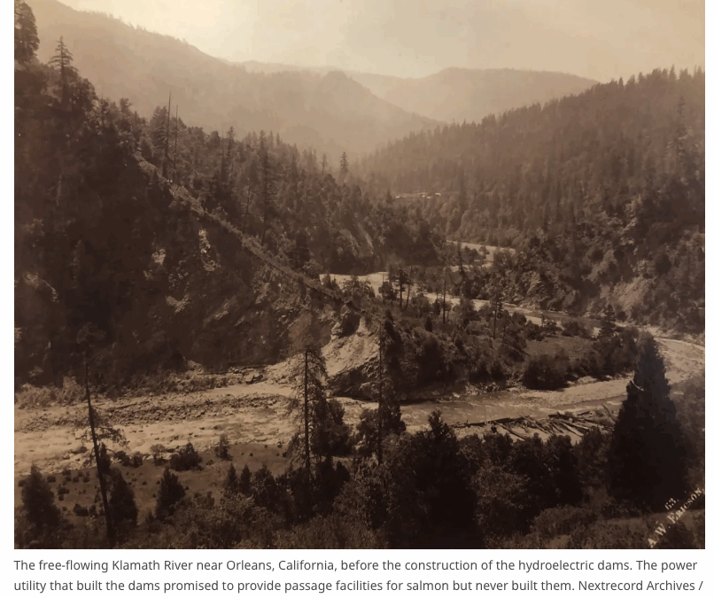 The free-flowing Klamath River near Orleans, California, before the construction of the hydroelectric dams. The power utility that built the dams promised to provide passage facilities for salmon but never built them. Salmon are returning to the Klamath River for the first time in over a century, marking a milestone in river restoration and habitat recovery. Nextrecord Archives / Getty Images