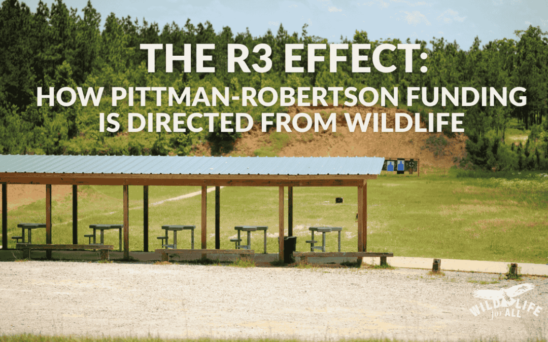 Outdoor shooting range with targets and firearms, overlaid with the text “The R3 Effect: How Pittman-Robertson Funding Is Directed Away From Wildlife,” representing the shift from wildlife restoration to hunter recruitment under the R3 model.