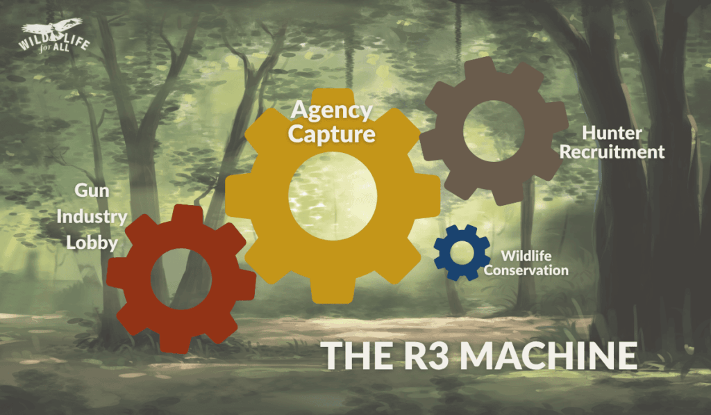 Illustration of gears against a forest background labeled “Gun Lobby,” “Hunter Recruitment,” and a large central gear labeled “Agency Capture,” pulling against a smaller gear labeled “Wildlife Conservation,” depicting how R3 funding under the Pittman-Robertson Act prioritizes political and recreational interests over science-based conservation.