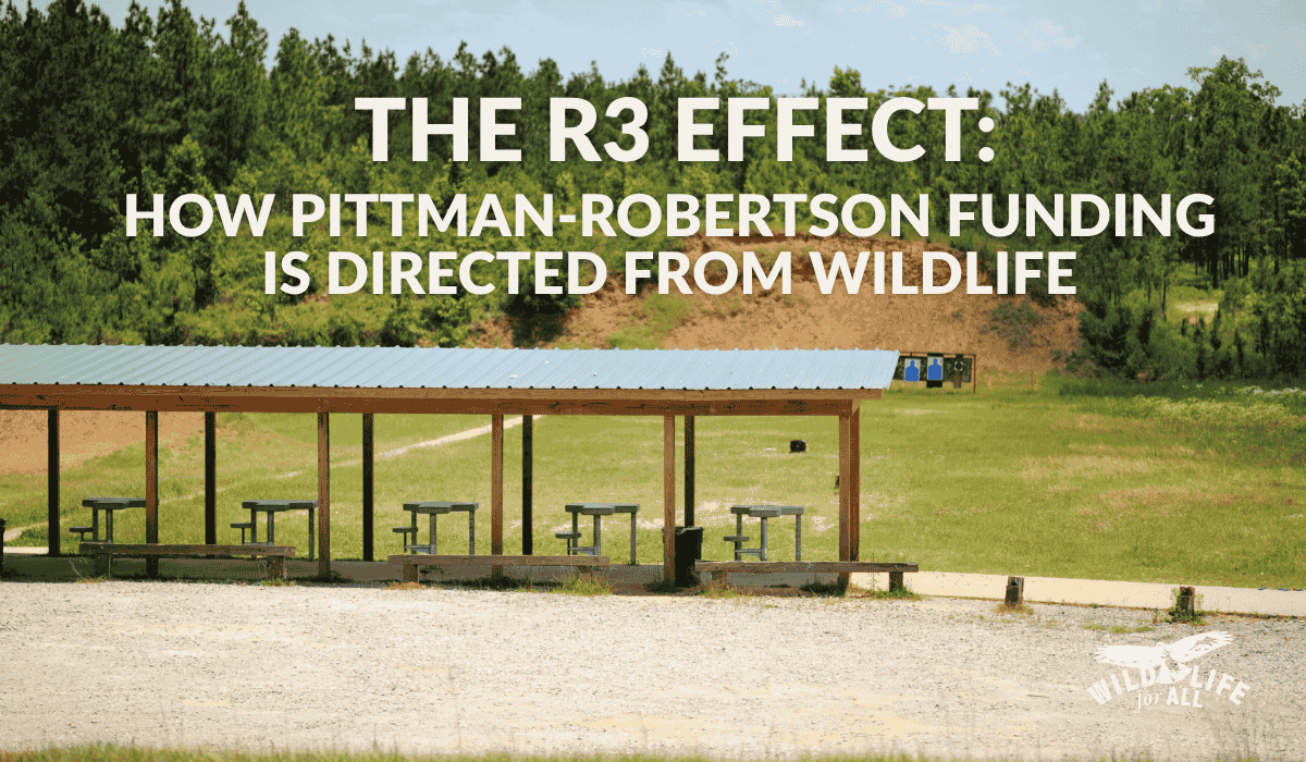 Outdoor shooting range with targets and firearms, overlaid with the text “The R3 Effect: How Pittman-Robertson Funding Is Directed Away From Wildlife,” representing the shift from wildlife restoration to hunter recruitment under the R3 model.