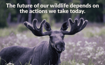 2025 Year in Review: Carrying the Light Forward