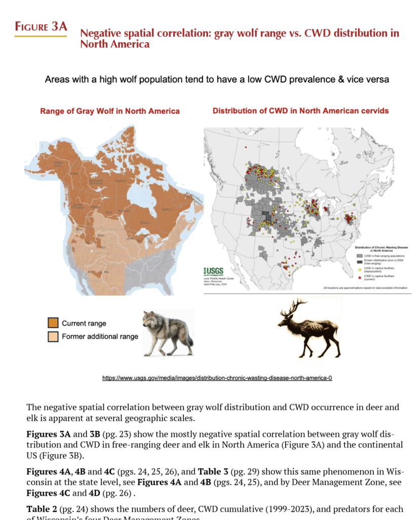 Negative spatial correlation between gray wolf range and CWD occurrence in North America, from the report Big Cats as Nature's Check Against Diseases, Jim Keen, DVM. CWD threatens wild deer and elk as loopholes and industry pressure weaken state wildlife oversight nationwide.