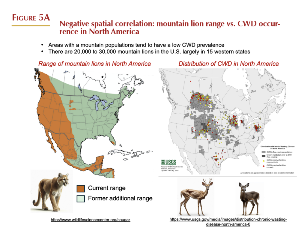Negative spatial correlation between mountain lion range and CWD occurrence in North America, from the report Big Cats as Nature's Check Against Diseases, Jim Keen, DVM. CWD threatens wild deer and elk as loopholes and industry pressure weaken state wildlife oversight nationwide.