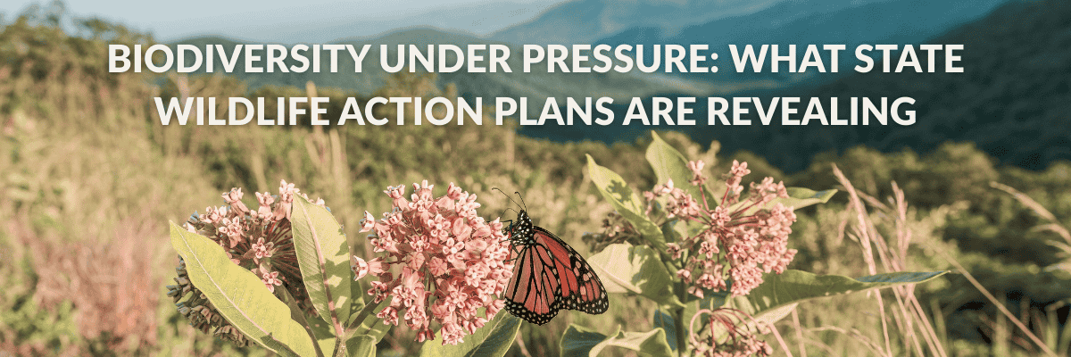 A monarch butterfly feeds on a milkweed flower in a valley with distant mountains behind it. Text on the image reads "Biodiversity Under Pressure: What State Wildlife Action Plans Are Revealing." This SGCN analysis from the changes between 2015 and 2025, shows how most state increased the number of species at risk. These changes highlight the urgent need for conservation action beyond traditional game management.