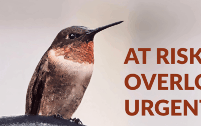 SGCN Analysis Reveals Urgent Biodiversity Risks Across U.S. States