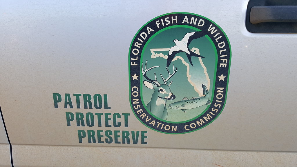 Florida Wildlife Commission game warden truck showing the division's logo: "Patrol. Protect. Preserve." The 287(g) program allows local officers to detain and transfer people to ICE and wildlife agencies are participating directly.