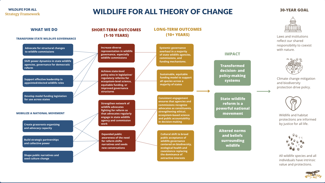Screen capture of the Wildlife for All Theory of Change model.