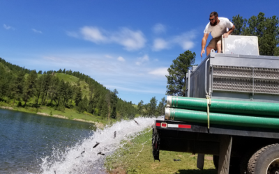 State agencies’ dependence on fish stocking reveals need for updated funding structure