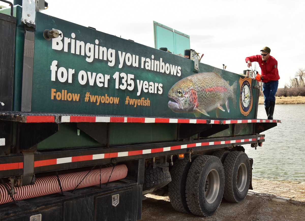 A Wyoming Game and Fish Department truck with a picture of a rainbow trout stocks fish in the Seedskadee National Wildlife Refuge. State wildlife agencies should focus their efforts on conserving ecosystems and protecting threatened and endangered species. However, these agencies often prioritize increasing populations of game species for improved hunter opportunities over protecting biodiversity.
