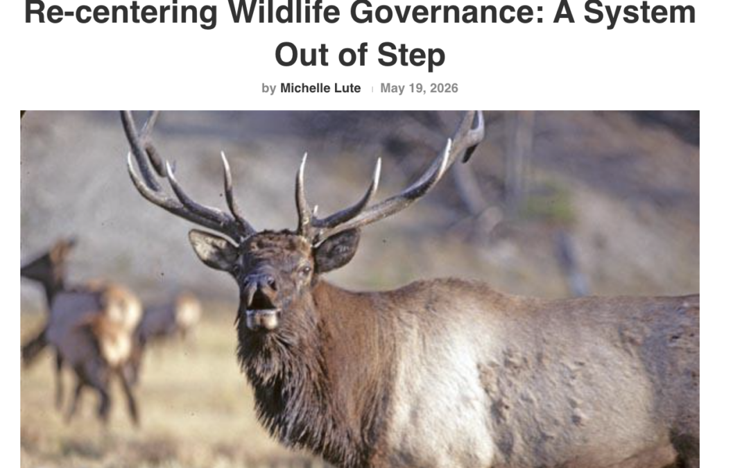 Our new article for The Wildlife News examines why state wildlife governance systems are out of alignment with modern ecological realities.