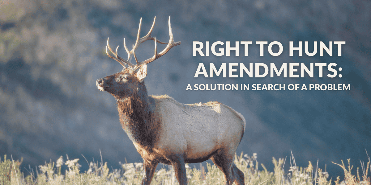 A bull elk in front of a mountain. Text on the image reads, Right to Amendments: A solution in search of a problem. As your newsroom considers coverage of Initiative 302, here are five questions worth asking about the proposed constitutional amendment's potential effects on wildlife governance, ballot initiatives, and the Colorado Constitution.