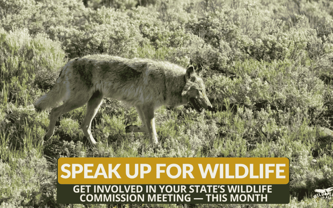 July Wildlife Commission Meetings