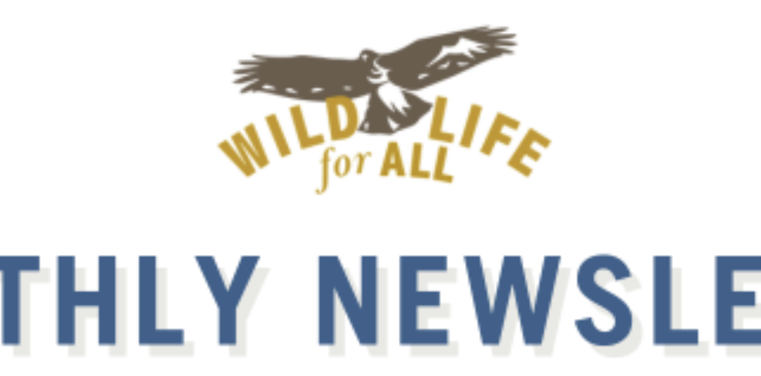 June 2026 Newsletter