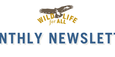 September 2026 Newsletter